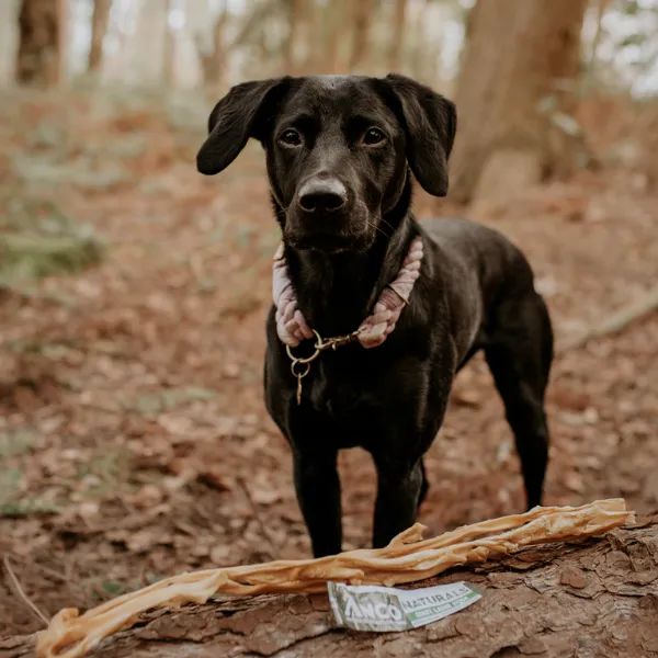 Anco Naturals Giant Lamb Stick