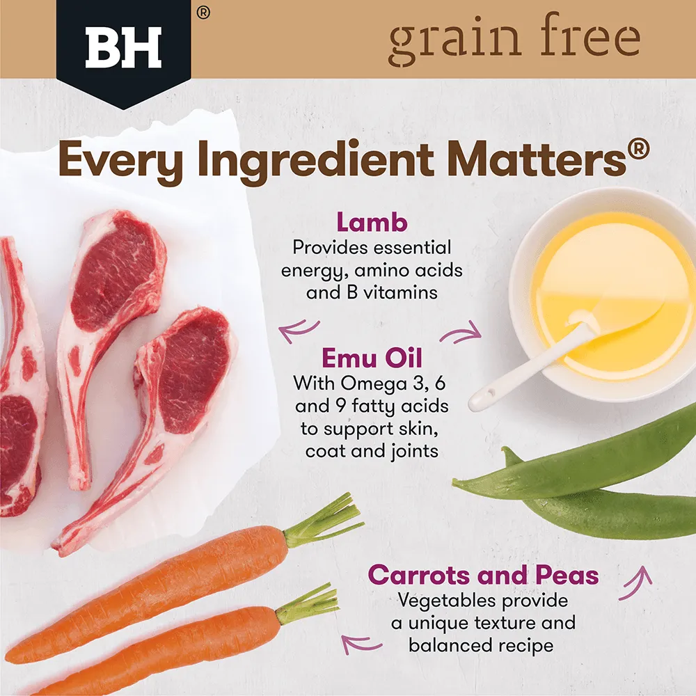 BLACK HAWK - Grain Free Lamb