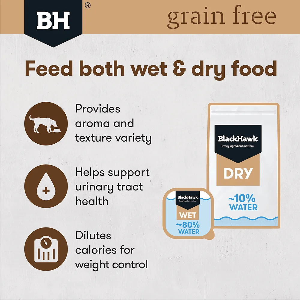 BLACK HAWK - Grain Free Lamb