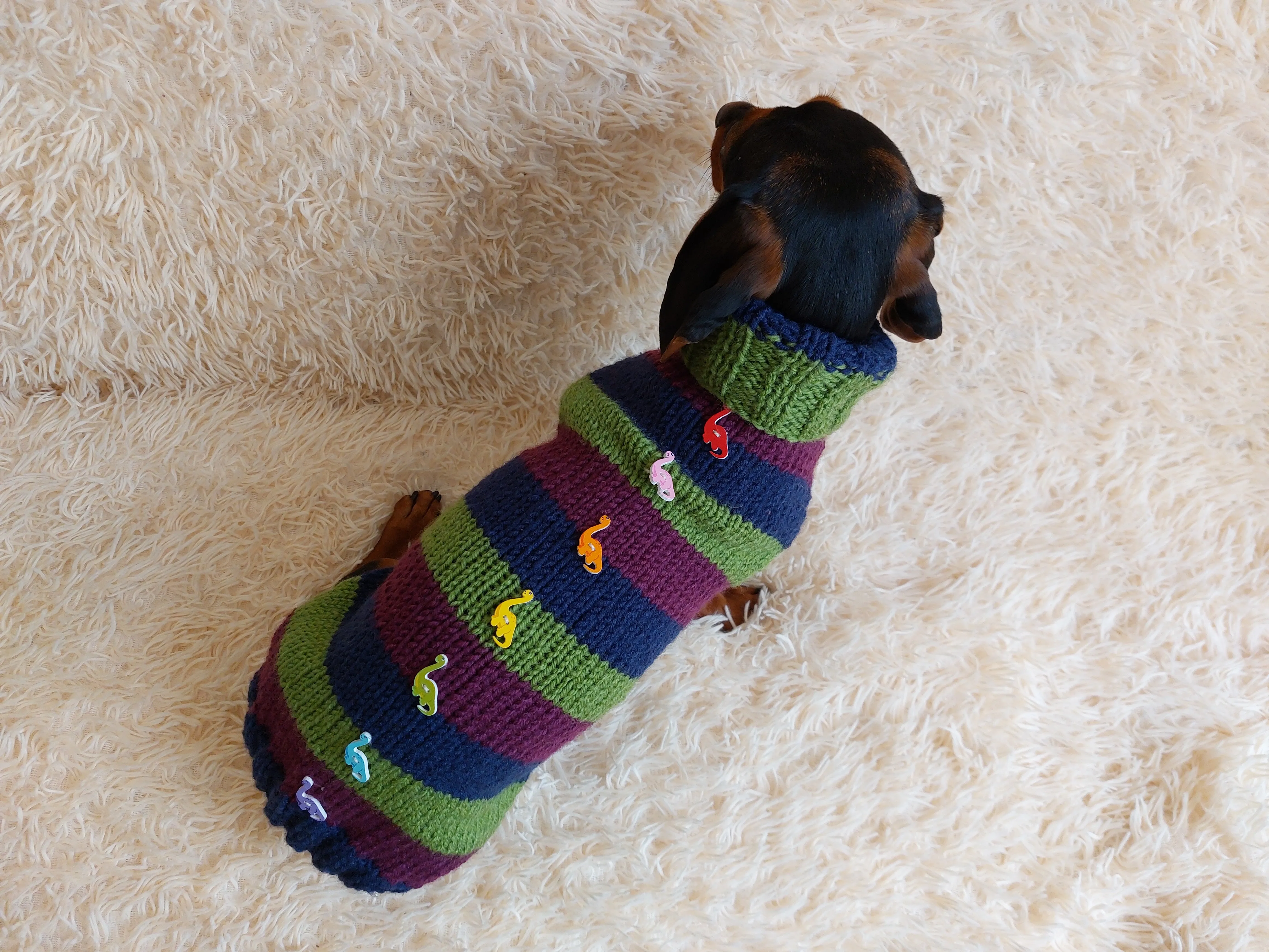Dinosaur striped jumper with wooden buttons for pets