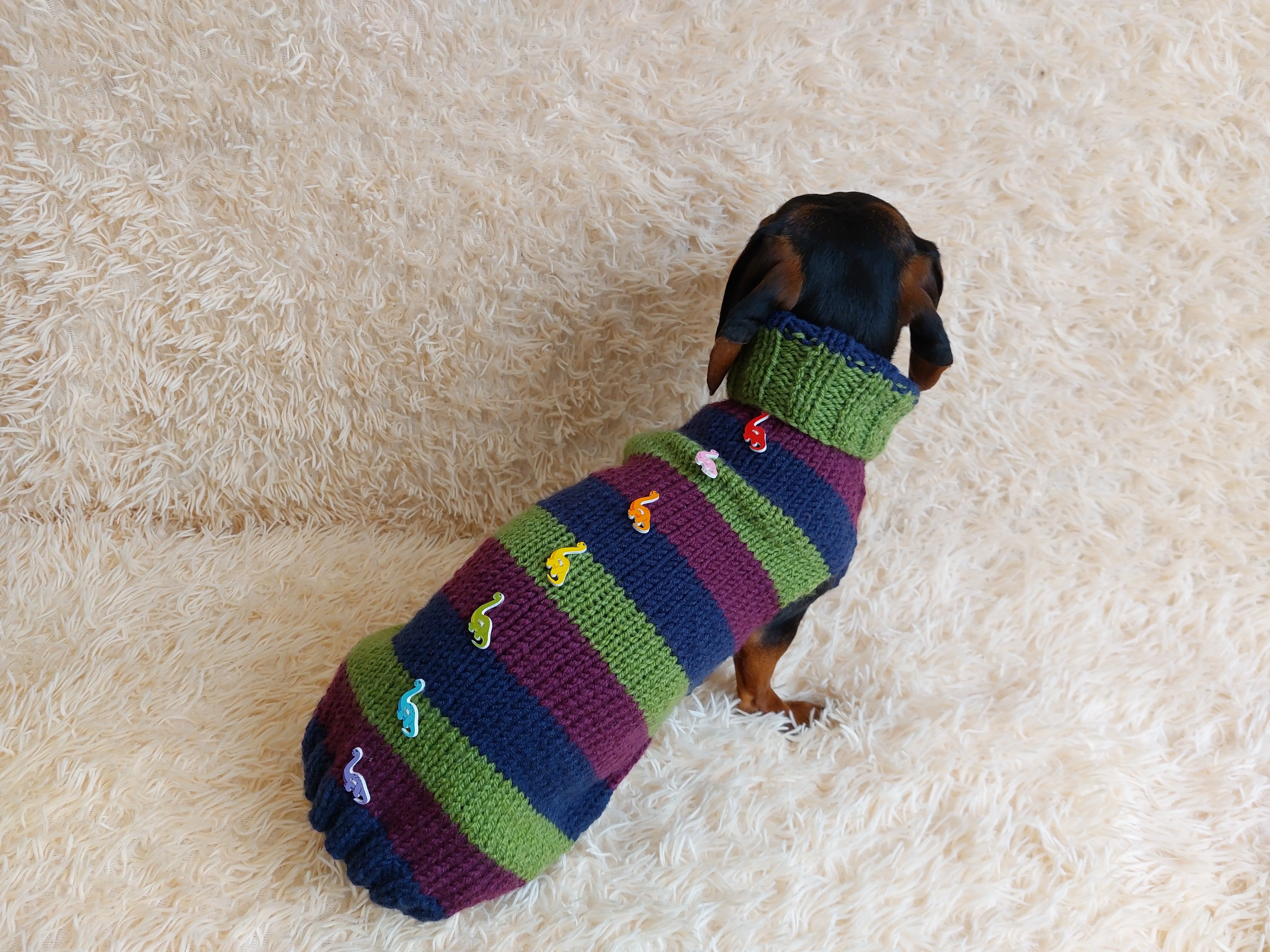 Dinosaur striped jumper with wooden buttons for pets