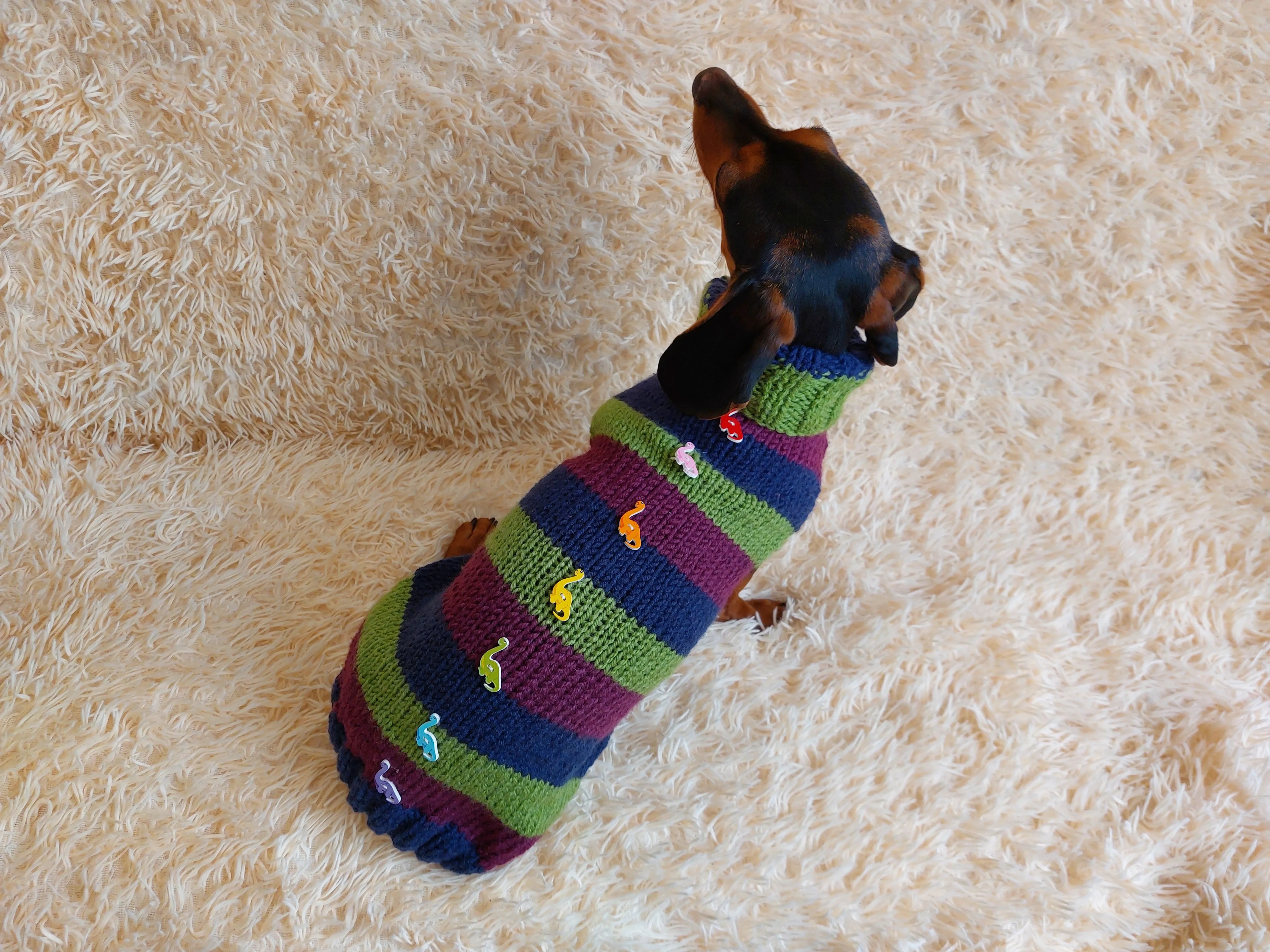 Dinosaur striped jumper with wooden buttons for pets