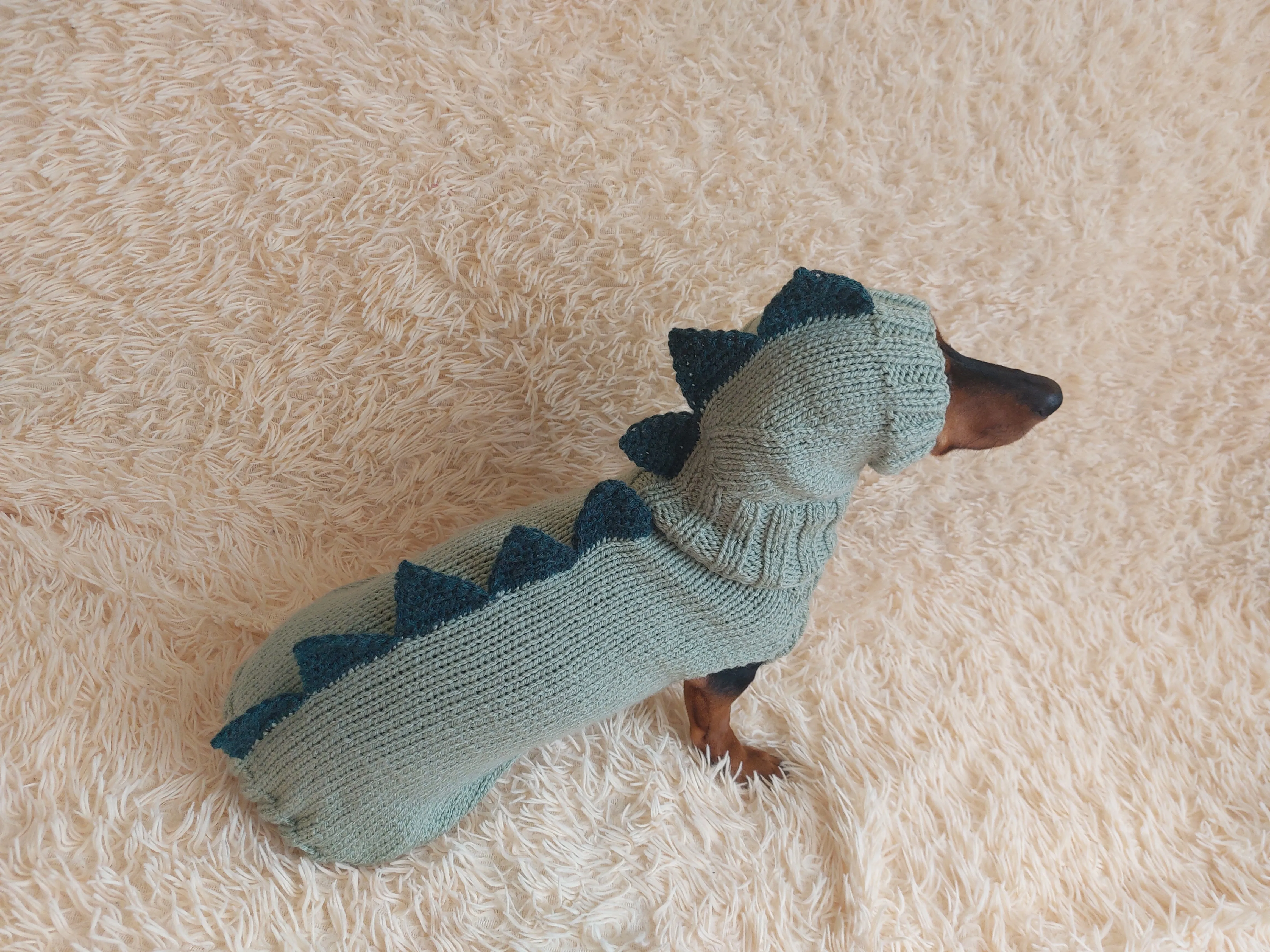 Dragon Dinosaur Winter Dog Clothes Costume Jumper and Hat