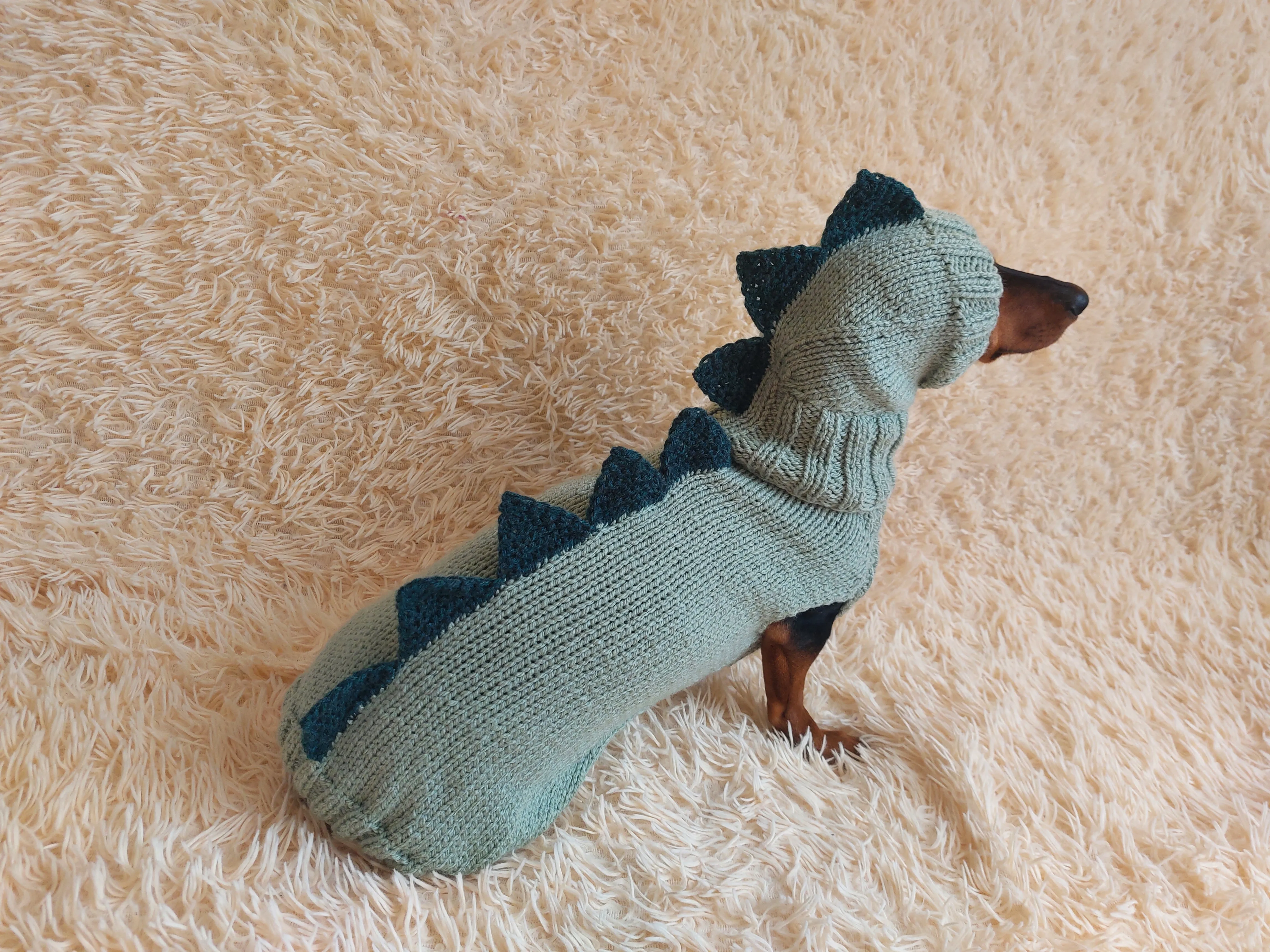 Dragon Dinosaur Winter Dog Clothes Costume Jumper and Hat