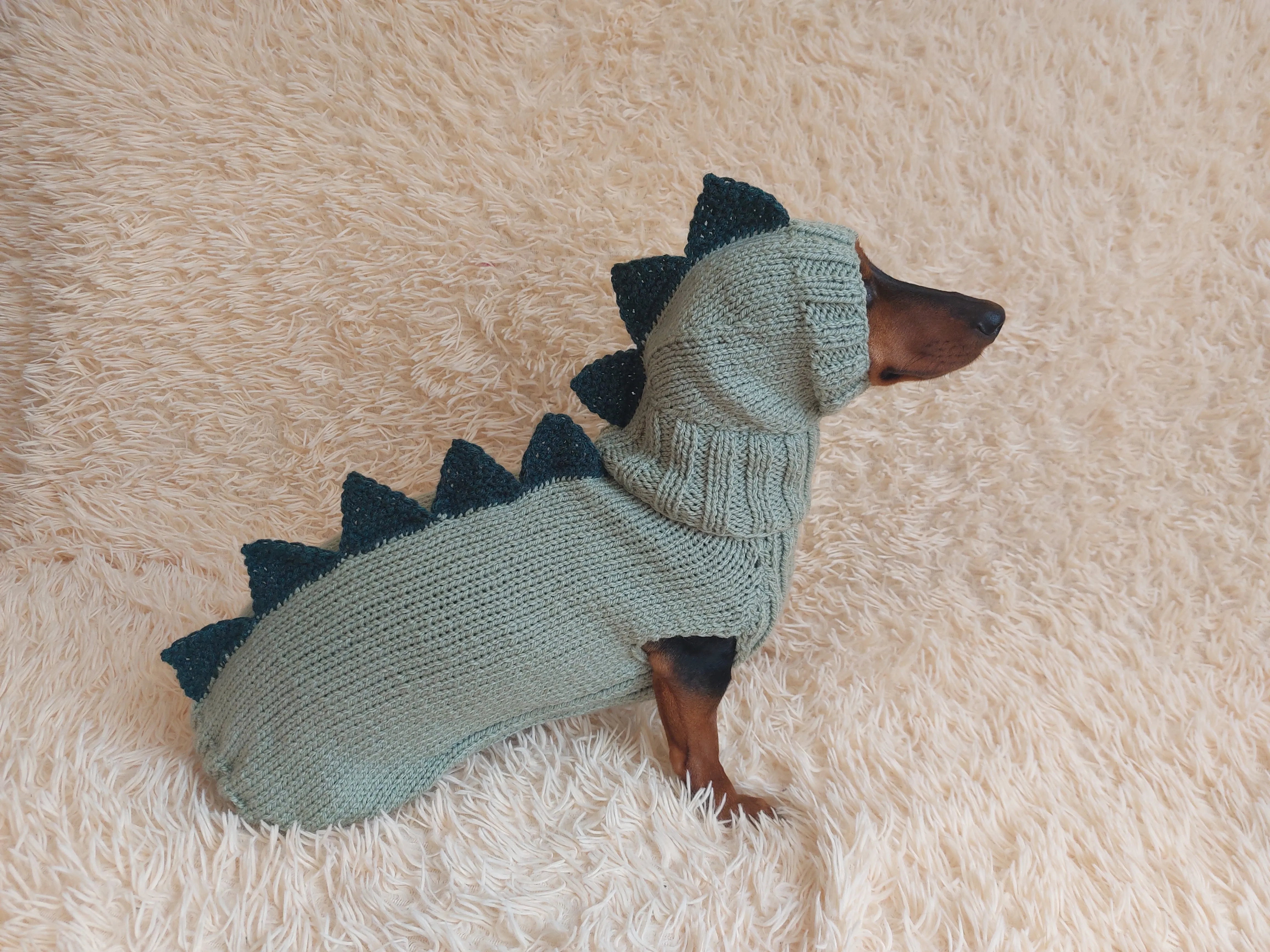 Dragon Dinosaur Winter Dog Clothes Costume Jumper and Hat