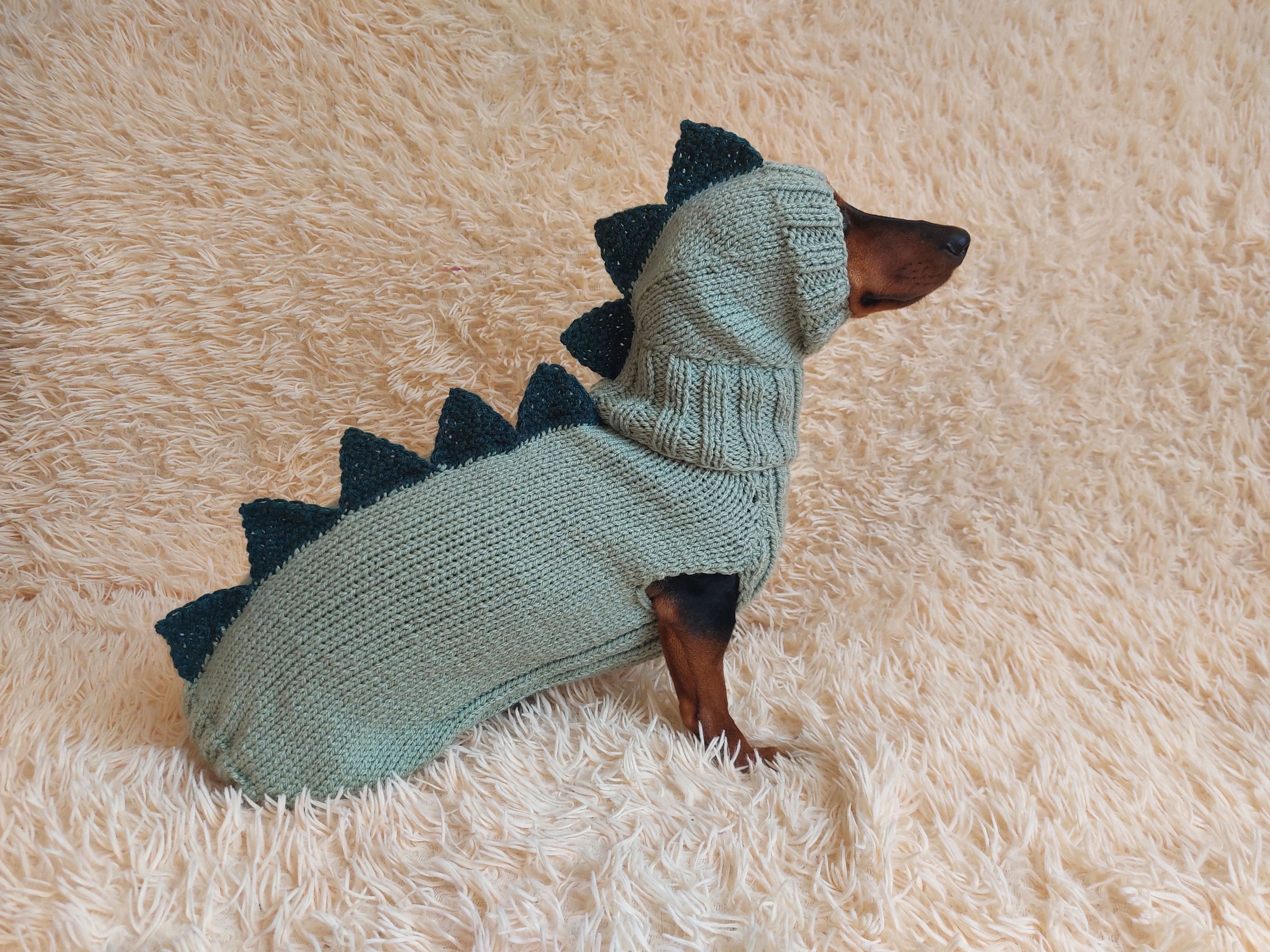 Dragon Dinosaur Winter Dog Clothes Costume Jumper and Hat