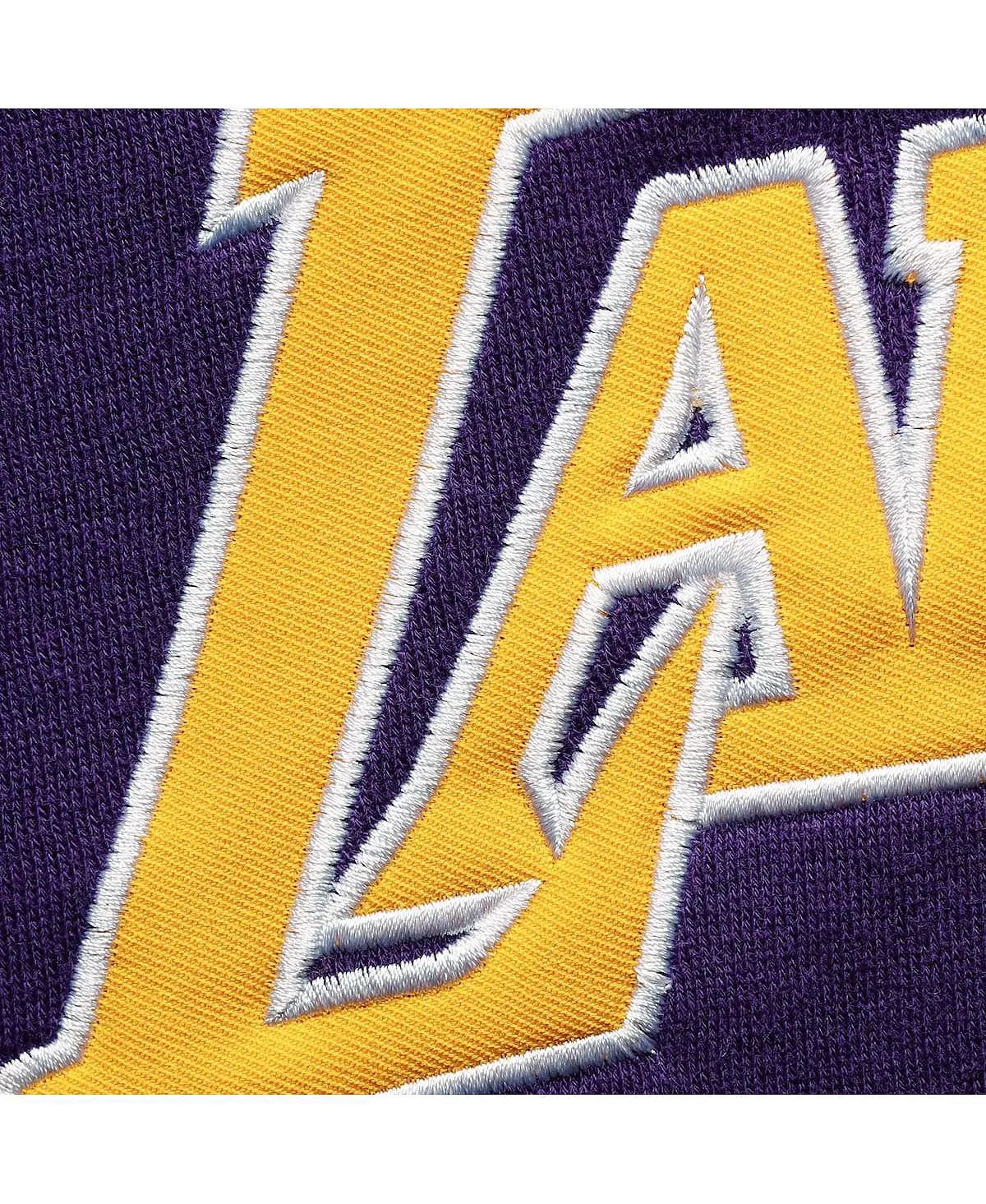 Men's Branded Purple and Gold Los Angeles Lakers Hoodie Big and Tall Double Contrast Pullover Fanatics , multi