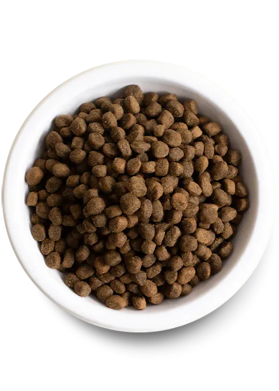 Open Farm - Pasture Raised Lamb & Ancient Grains - Dry Dog Food