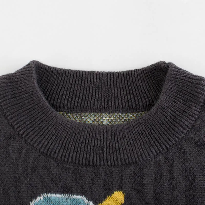 Premium Toddler Boy's Dinosaur Print Sweater